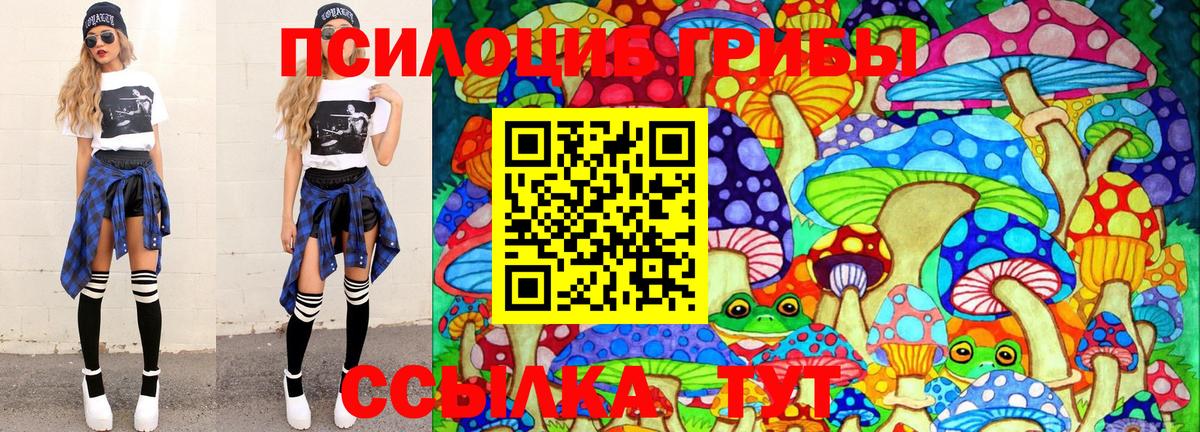 Псилоцибиновые грибы MAGIC MUSHROOMS Избербаш